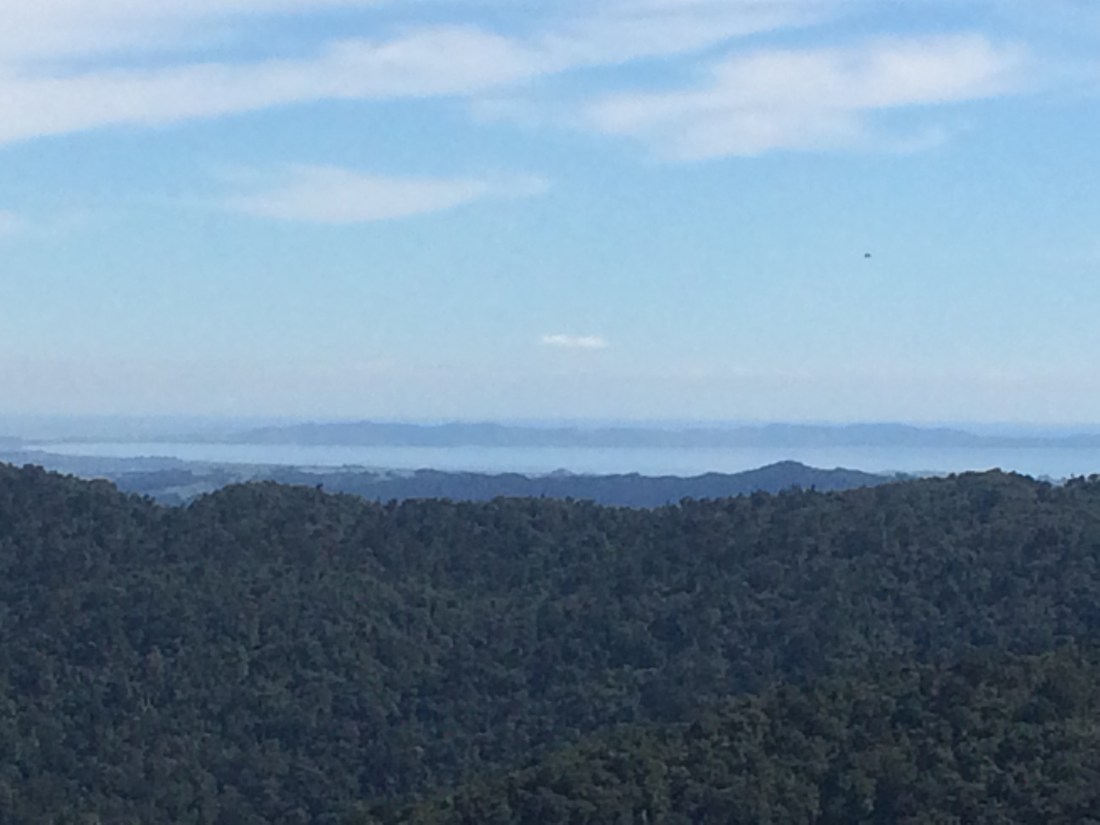 FB24AF1E-CC6C-48A8-8D81-72D421F1D8FA