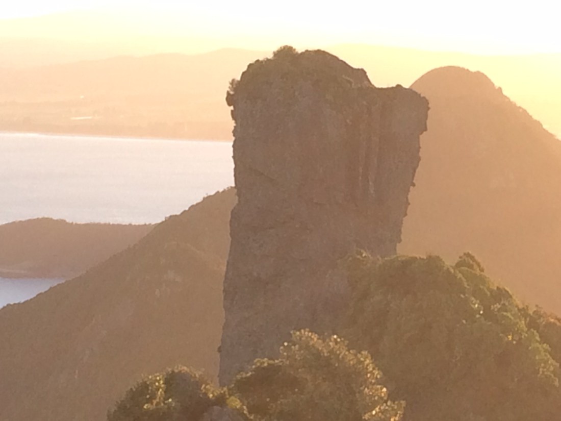 3F2166D5-12E6-411E-A1AB-1689E255AC85