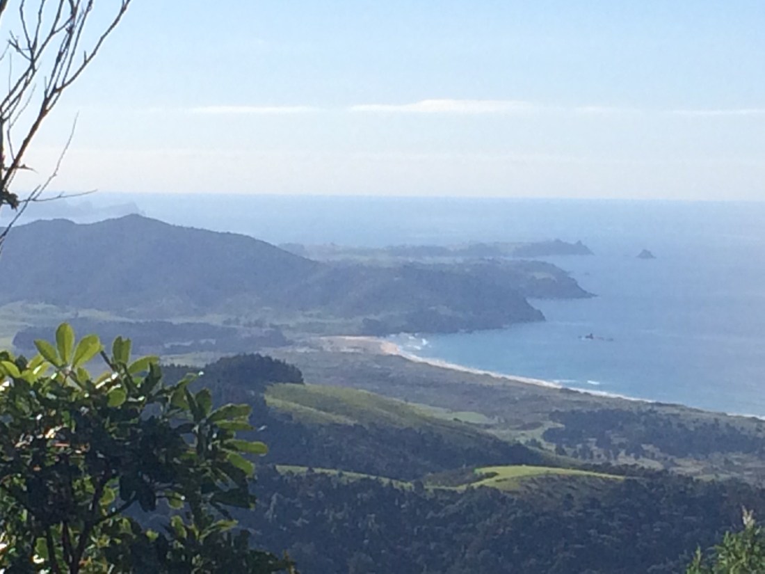 67A7370D-11B5-4522-AC20-B9121832B292