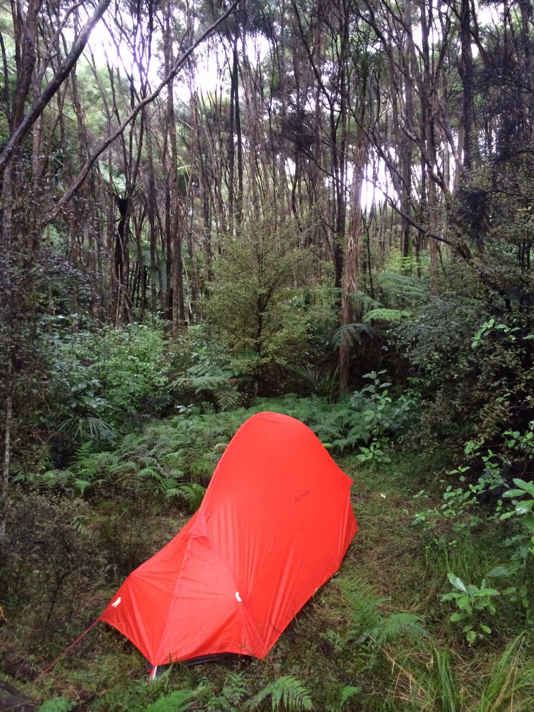 80684D25-61A1-4C82-AC36-DE38DEBA8C6C