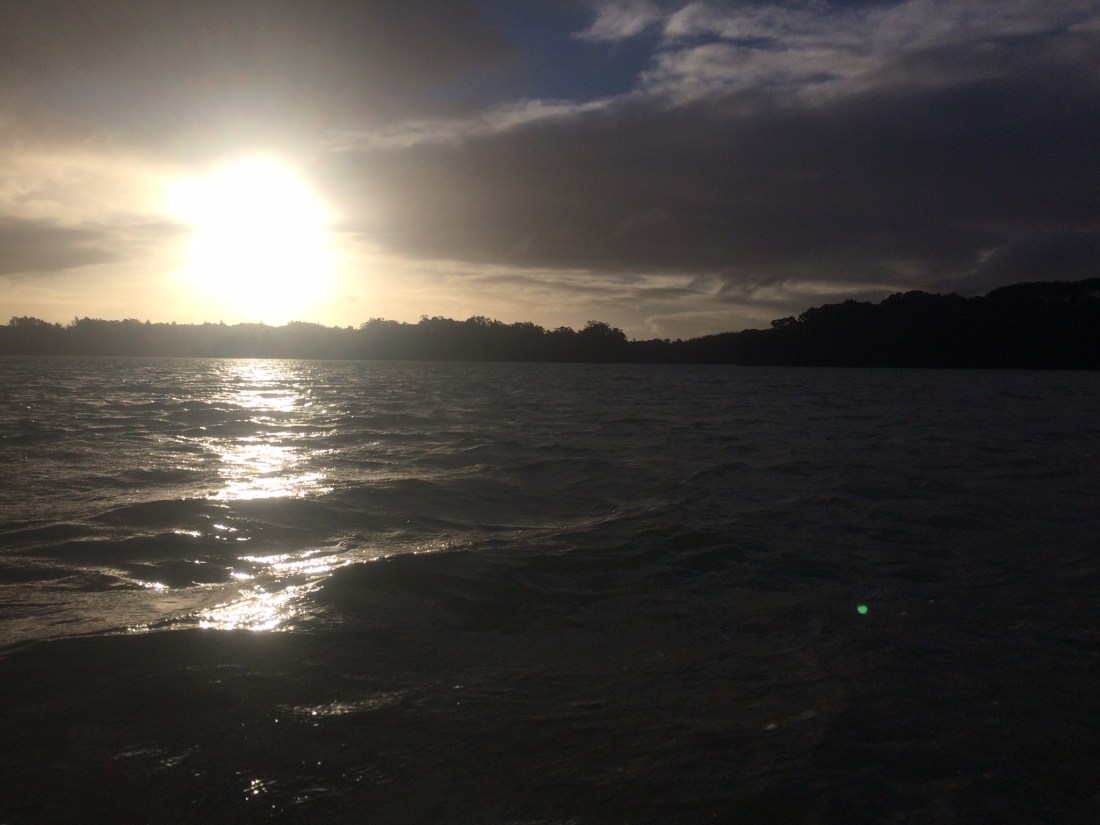 A6F9D704-AC4E-4AA4-A2D4-DFC64488B4FF