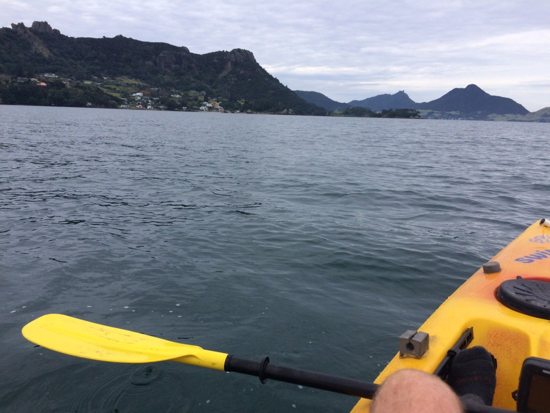 B5DC3305-8759-40DE-B888-45E3B666E103