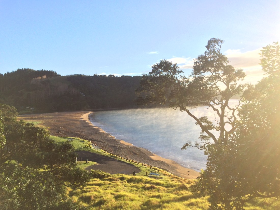 DD8A8AF4-E600-495D-9403-20DBEAE14182