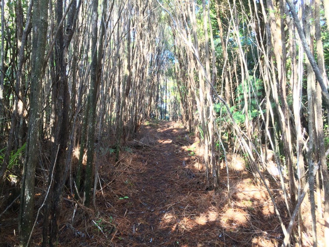 E3642B47-800E-40AB-857B-463A08EED0C9