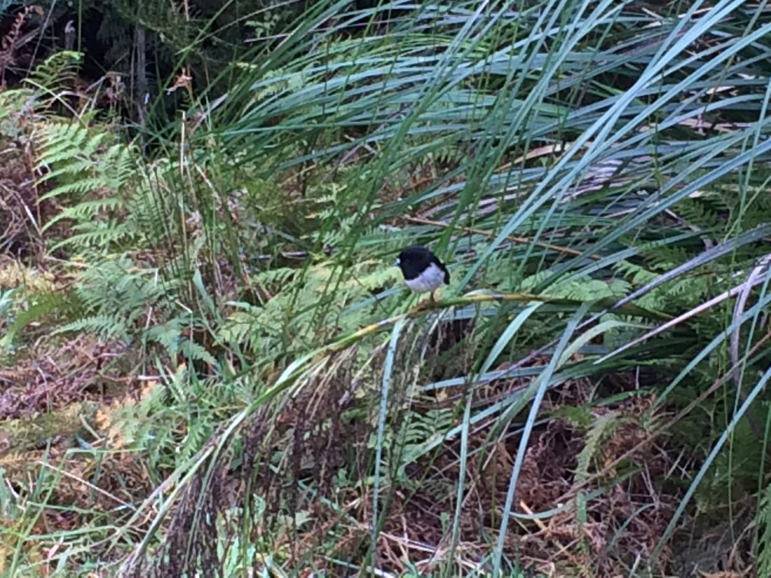 EC78D1C9-1CDC-43E1-99E9-0614986A3AD8