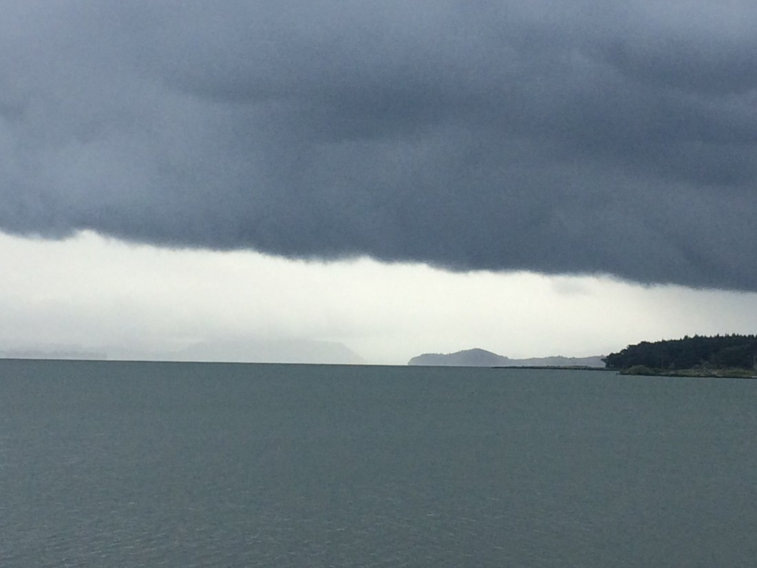 ED65EE99-53BC-4275-8E5F-CD3C6B8603CB