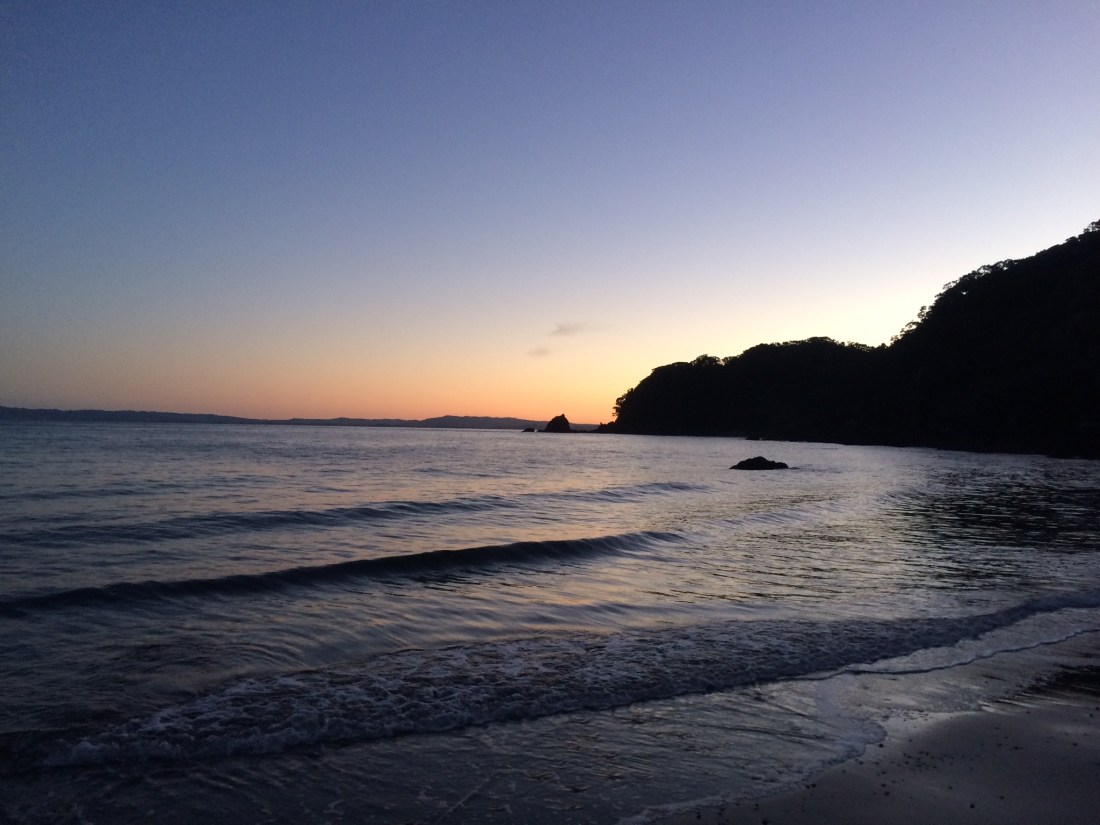 FF5A382C-58AB-430C-A392-8BF2CA461E59