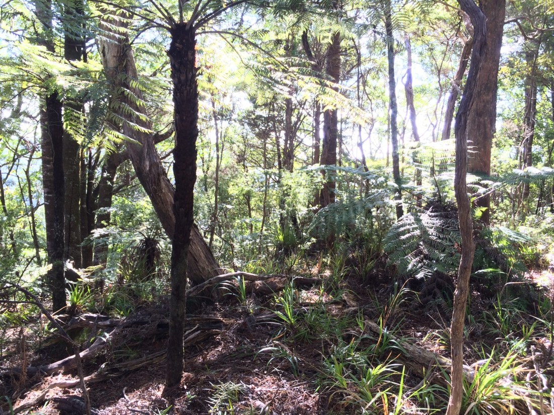 FFD94BAC-66EA-42A8-A8BE-7A17044F4313