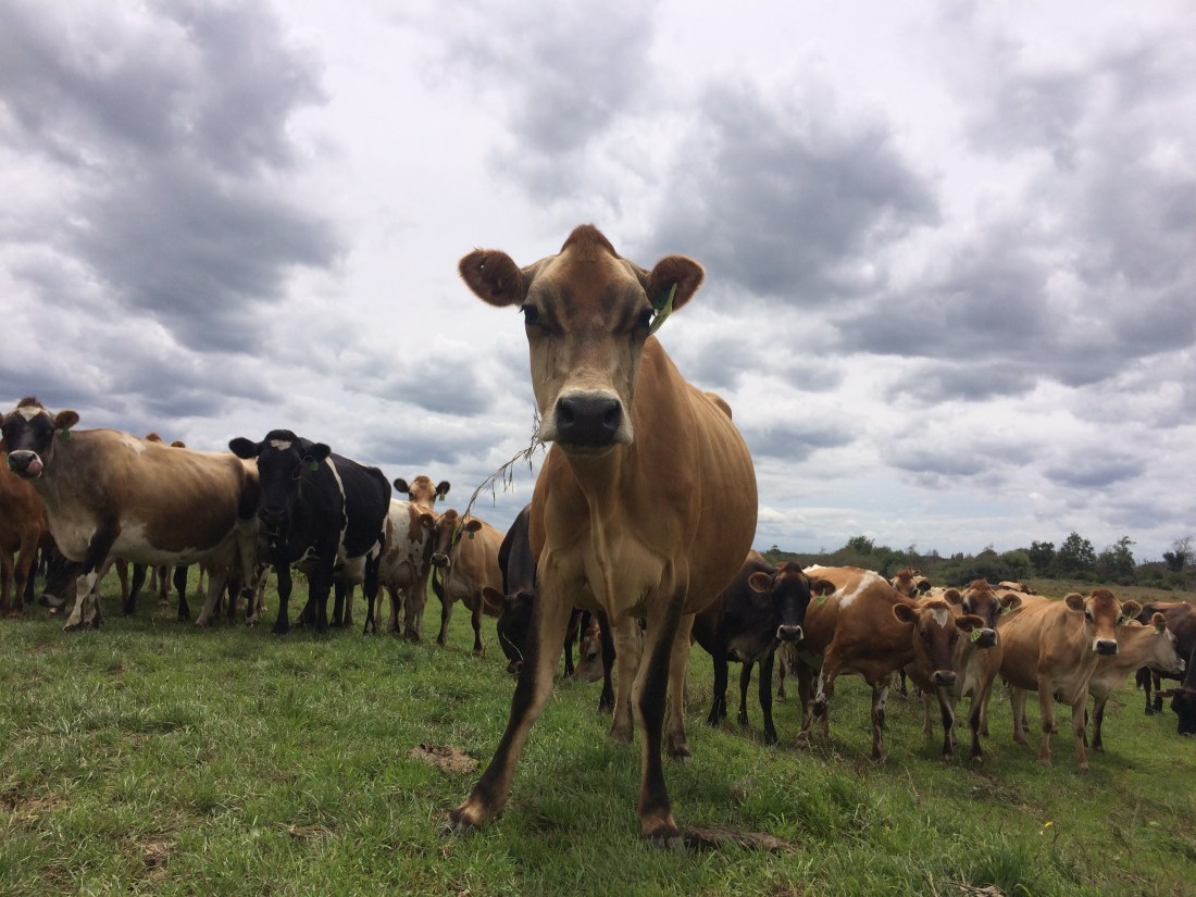 3E703AD7-CC69-4C38-8C08-6AB87410E42F