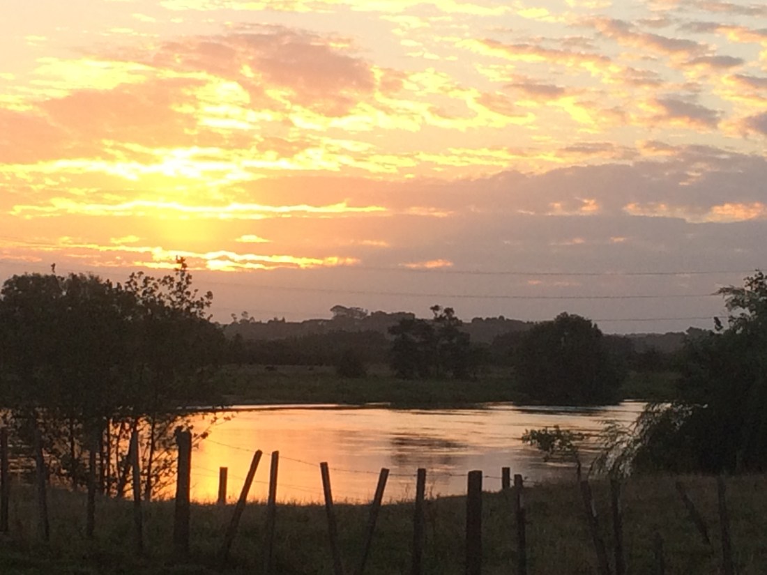 740B126C-BC36-4094-BA2B-F5A4D742F22B