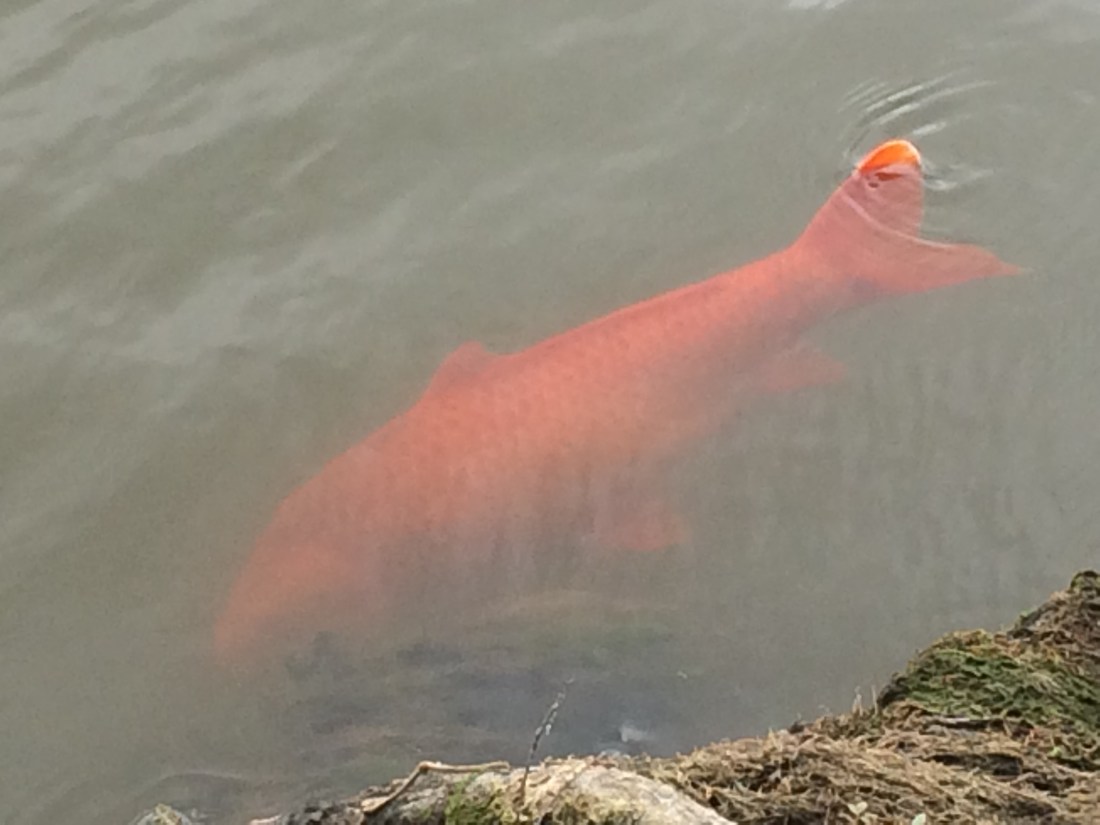 9AD6CCC8-6FAD-427E-9BD2-1B55A28A9352