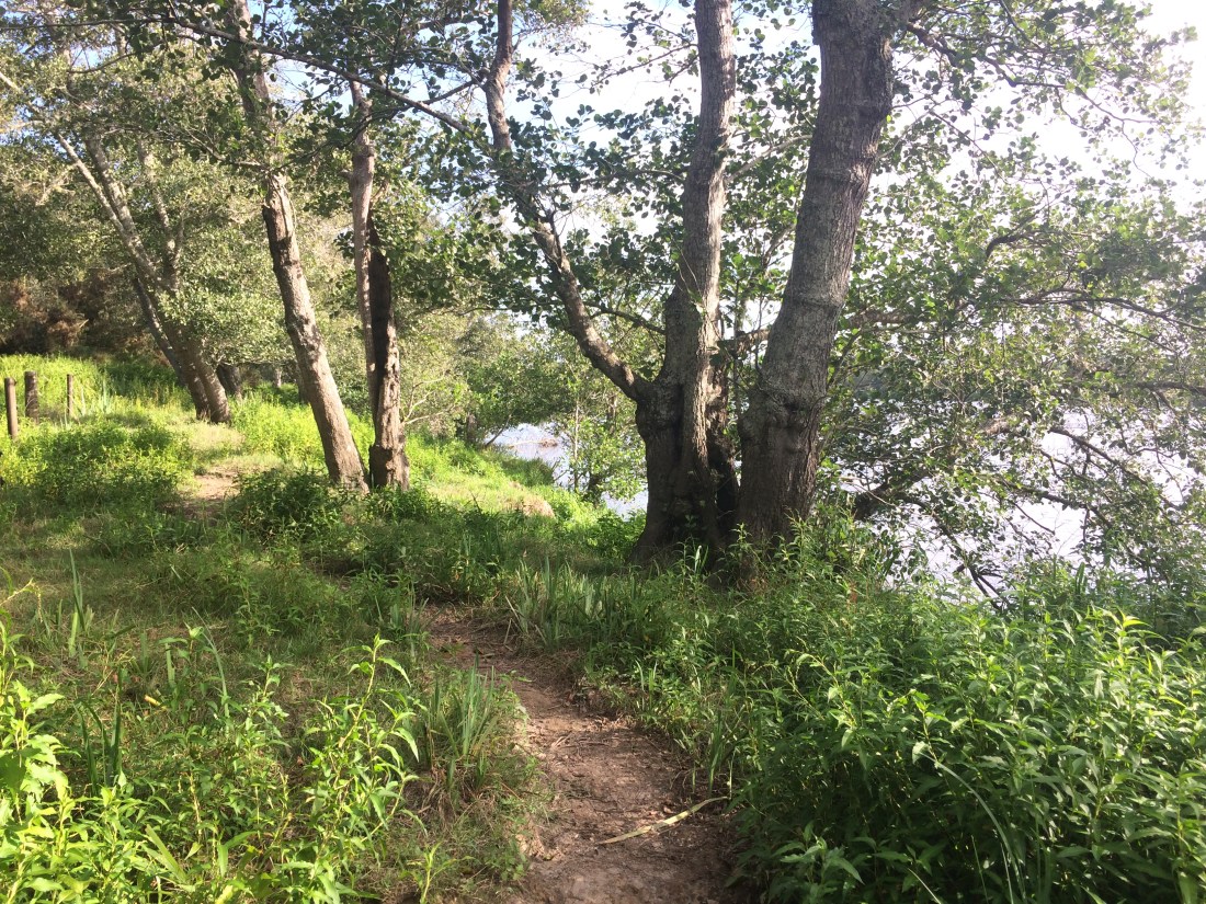 E9FED8EB-D077-4D79-9EF8-B018CDBB8C03